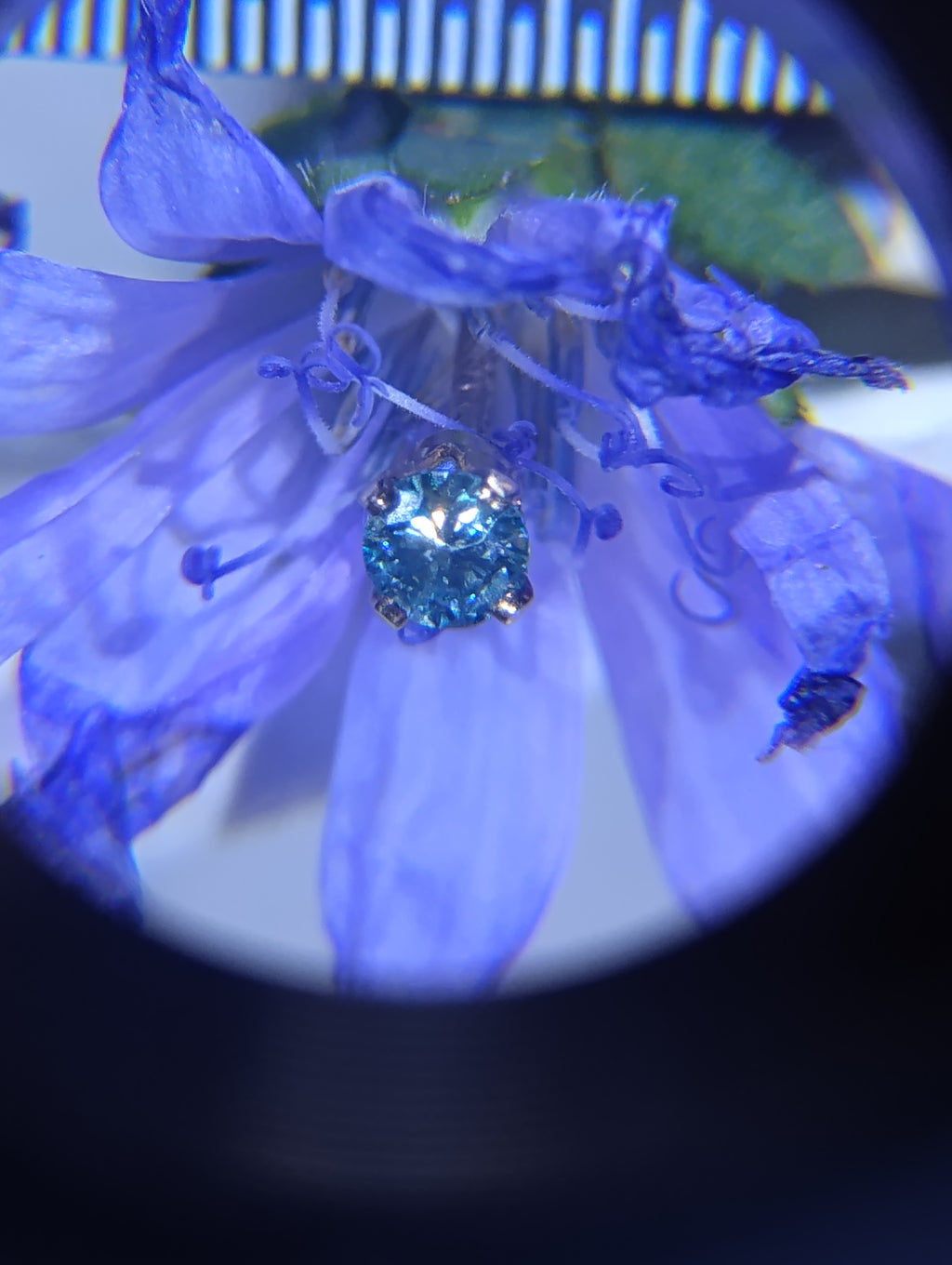 14k gold filled stud earrings with 3mm light blue lab moissanite gemstones, showcasing elegant jewelry design.