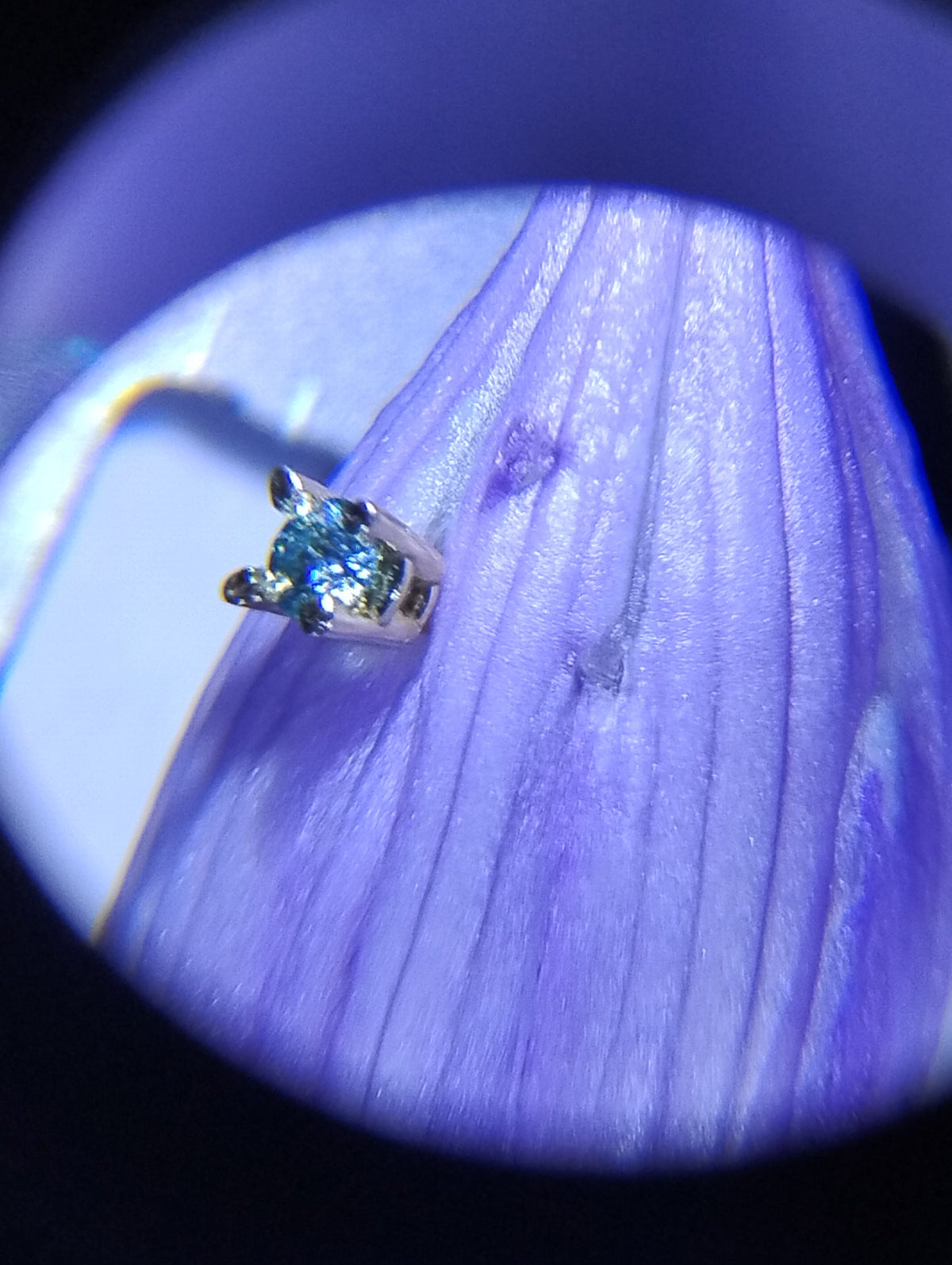 18k solid gold nose ring with 2mm light blue moissanite, body jewelry, showcasing a sleek and elegant design.