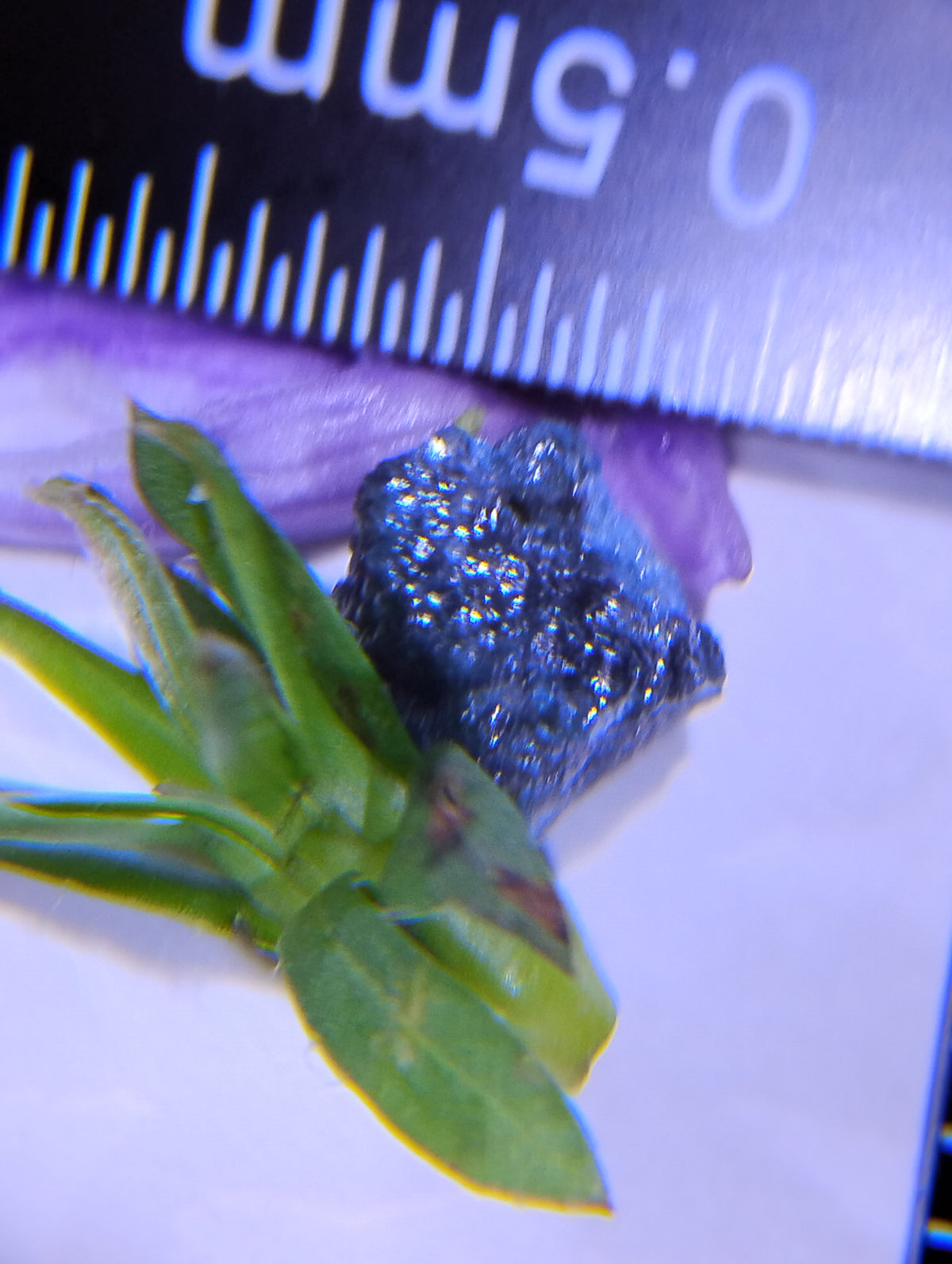 Natural blue rough diamond, 6.5 carats, loose gemstone with a textured surface, from My Store 3.