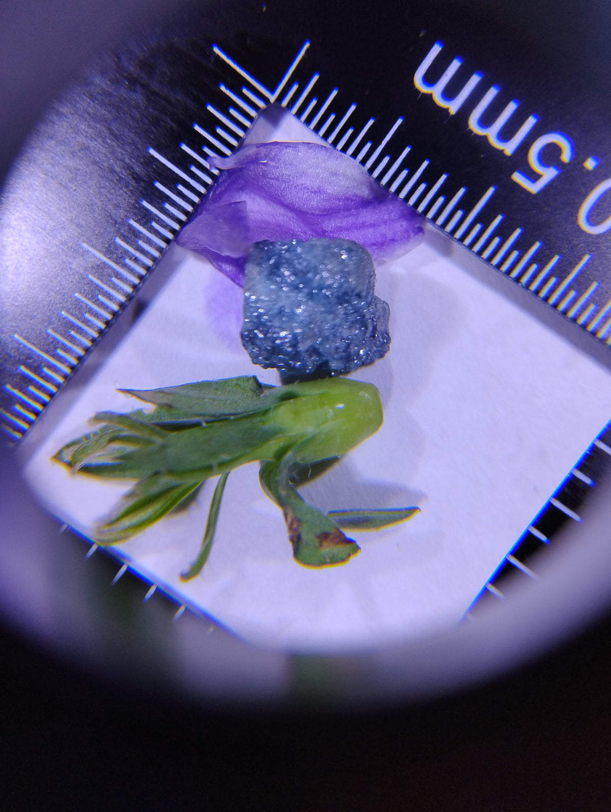 Natural blue rough diamond, 6.5 carats, loose diamond from My Store 3, showcasing its raw, uncut gemstone beauty.