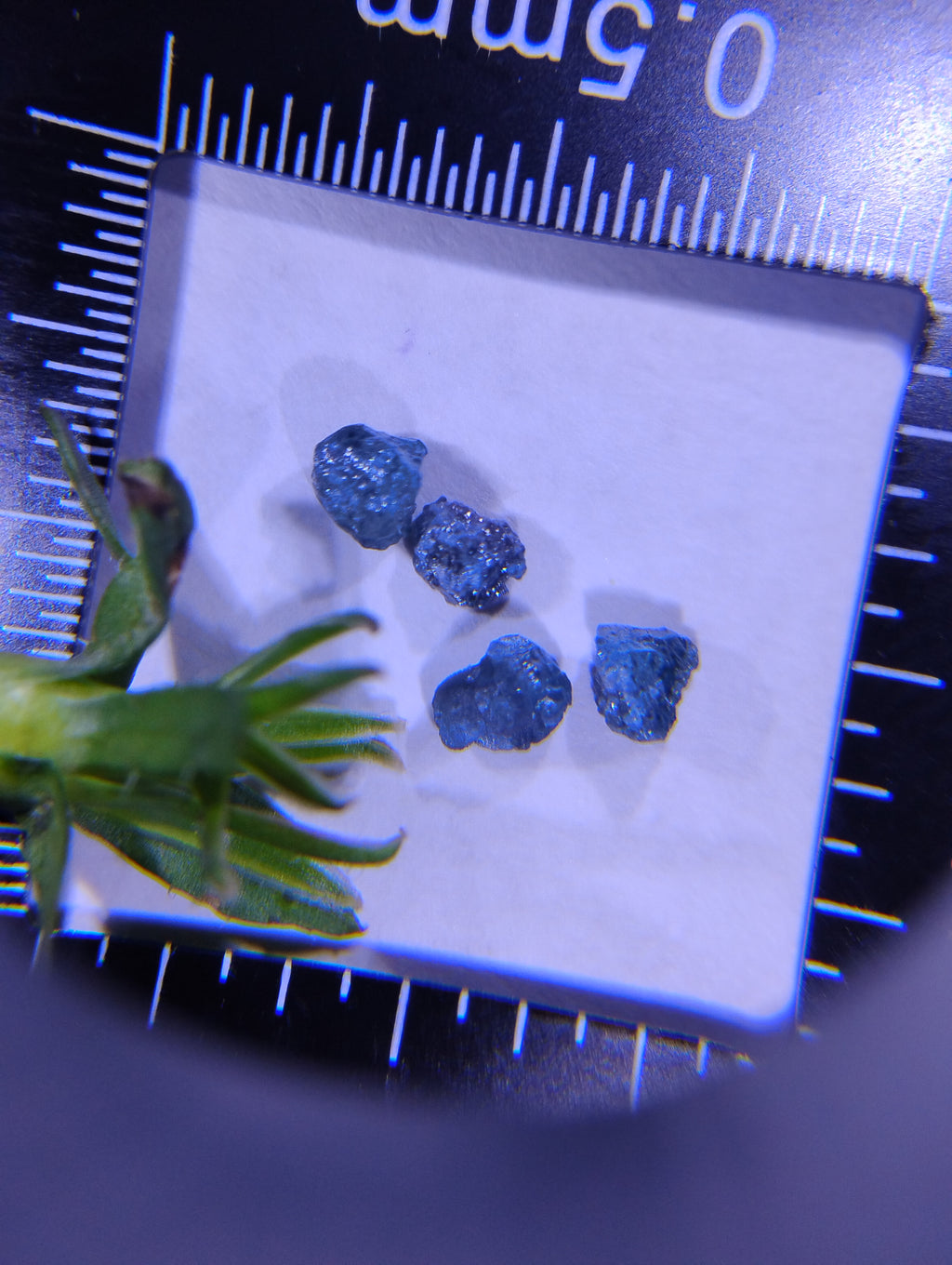 Blue Diamonds & Bloom — Natural Rough Diamond Art Piece | 1 Ct