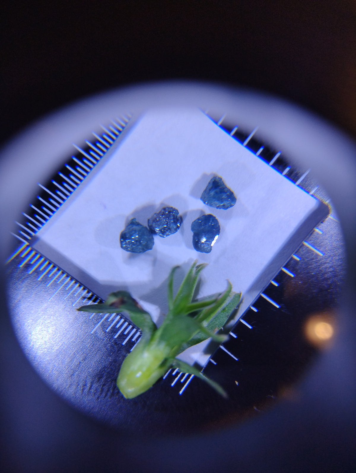 Rough Natural Blue Diamonds – Set of 4