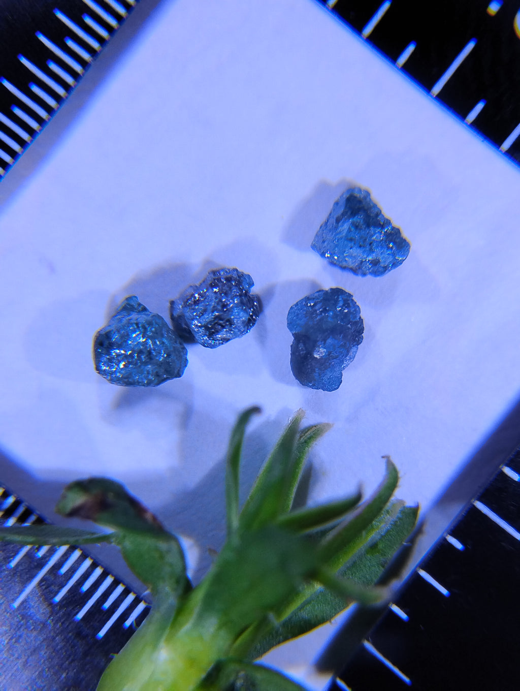 Rough Natural Blue Diamonds – Set of 4