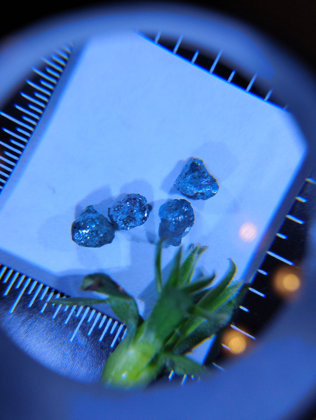 Rough Natural Blue Diamonds – Set of 4