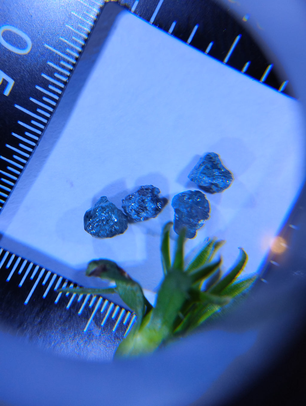 Rough Natural Blue Diamonds – Set of 4