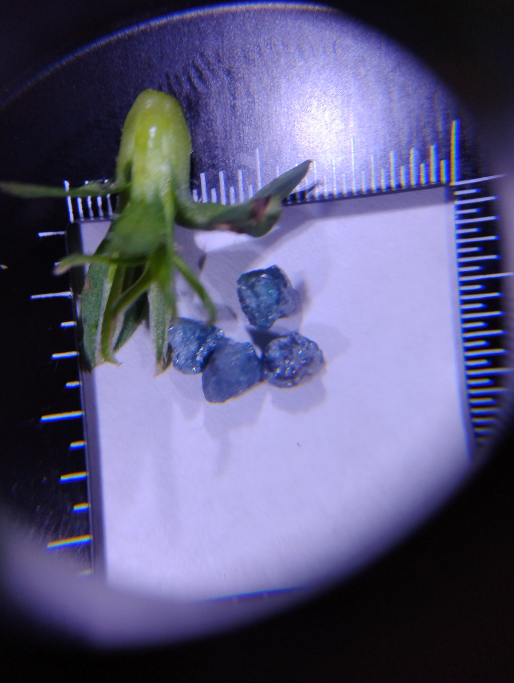 Custom Natural Blue Diamond Flower Jewelry – Commission a One-of-a-Kind Piece