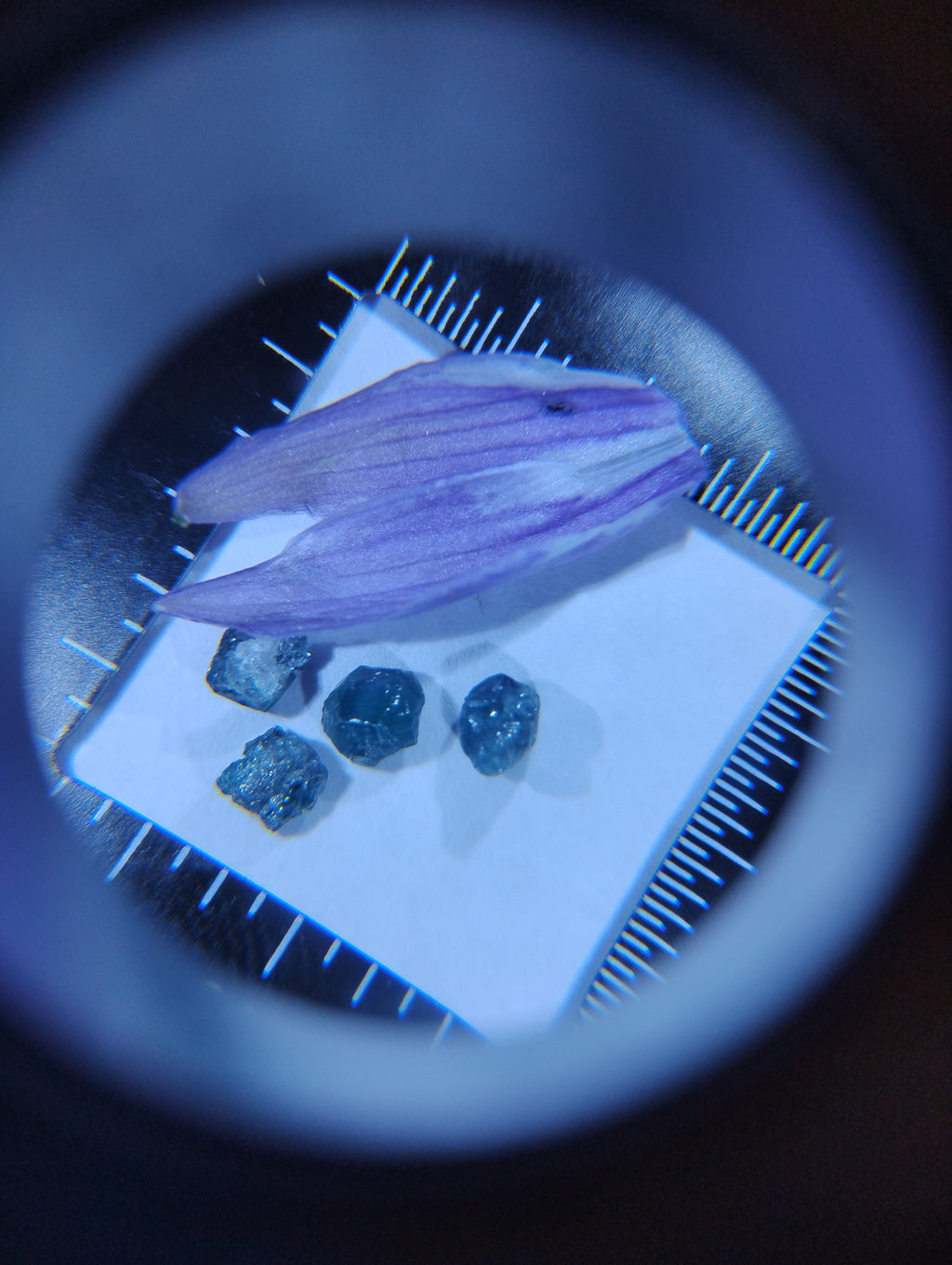 Custom Natural Blue Diamond Flower Jewelry – Commission a One-of-a-Kind Piece