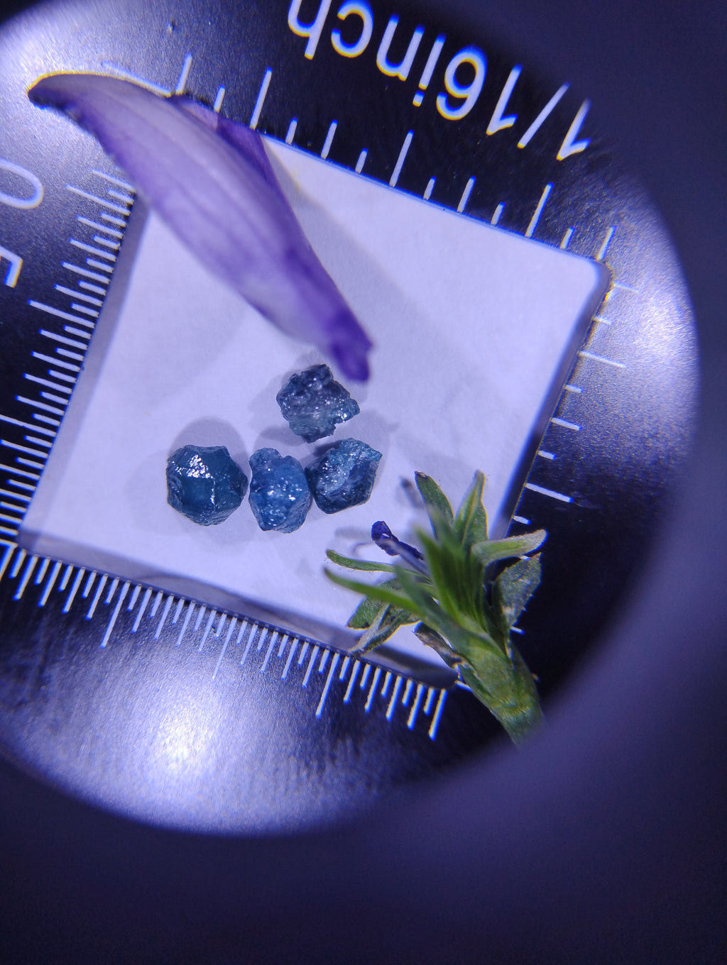 Blue Diamonds & Bloom — Natural Rough Diamond Art Piece | 1 Ct