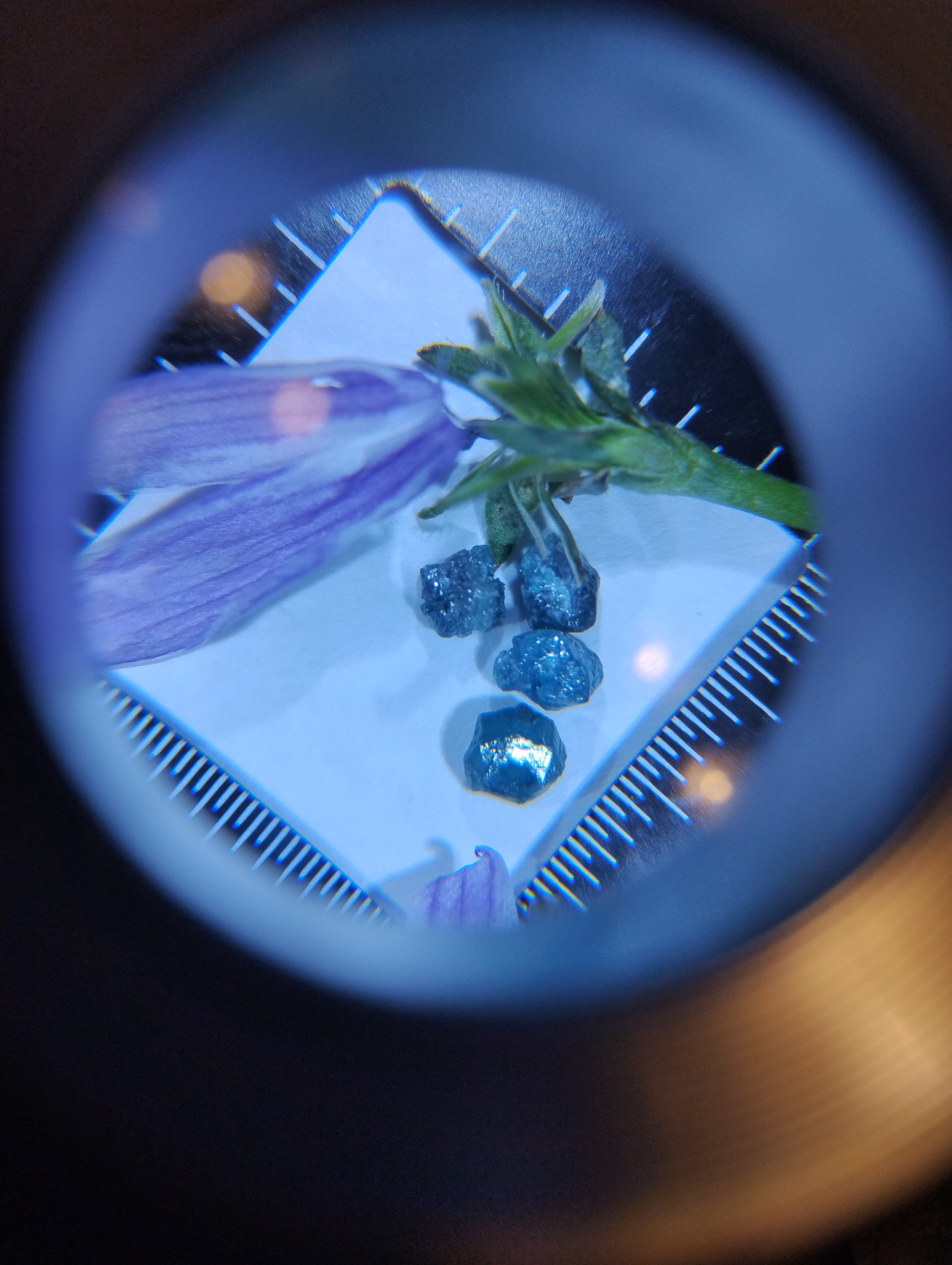 Blue Diamonds & Bloom — Natural Rough Diamond Art Piece | 1 Ct