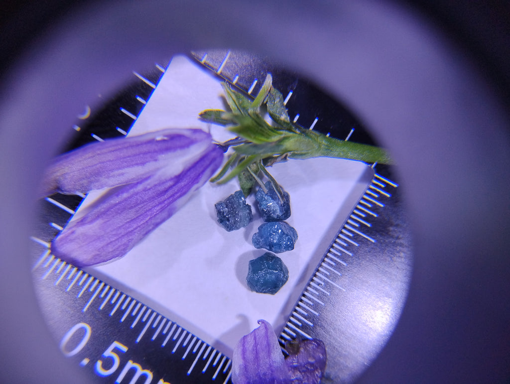 Blue Diamonds & Bloom — Natural Rough Diamond Art Piece | 1 Ct