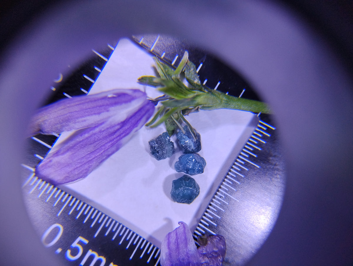 Blue Diamonds & Bloom — Natural Rough Diamond Art Piece | 1 Ct