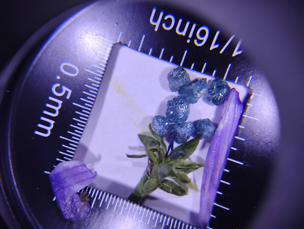Seven Rough Blue Diamonds | 2 Carats Total Weight