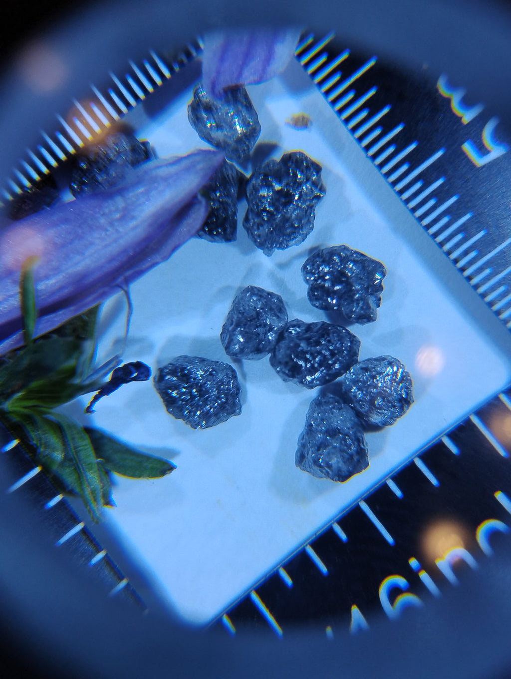 Natural Rough Blue Diamonds – 2 ct (Two Carats)