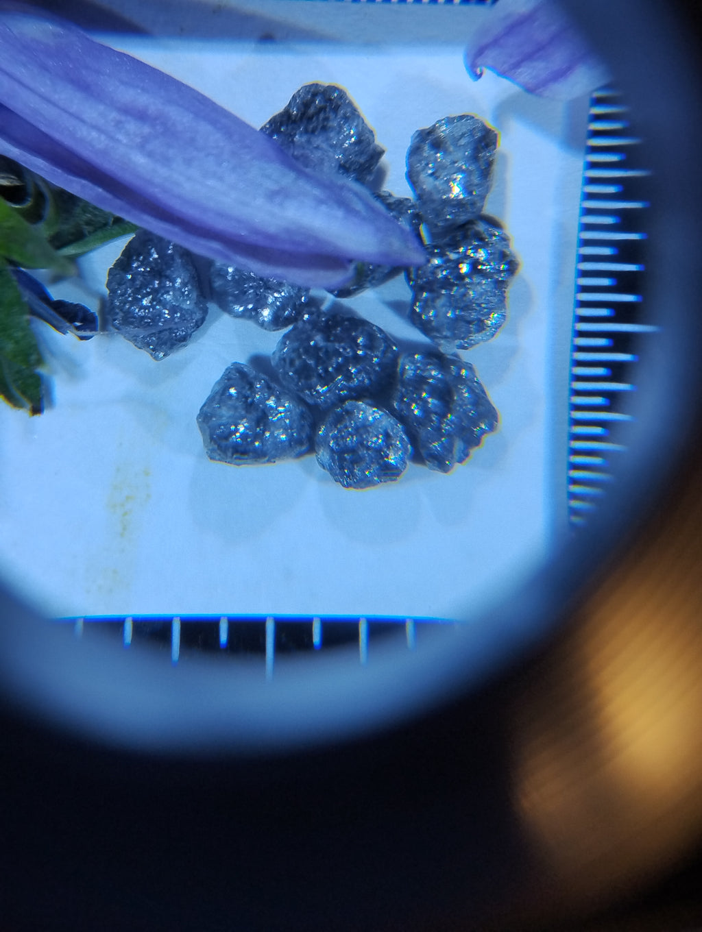 Natural Rough Blue Diamonds – 2 ct (Two Carats)