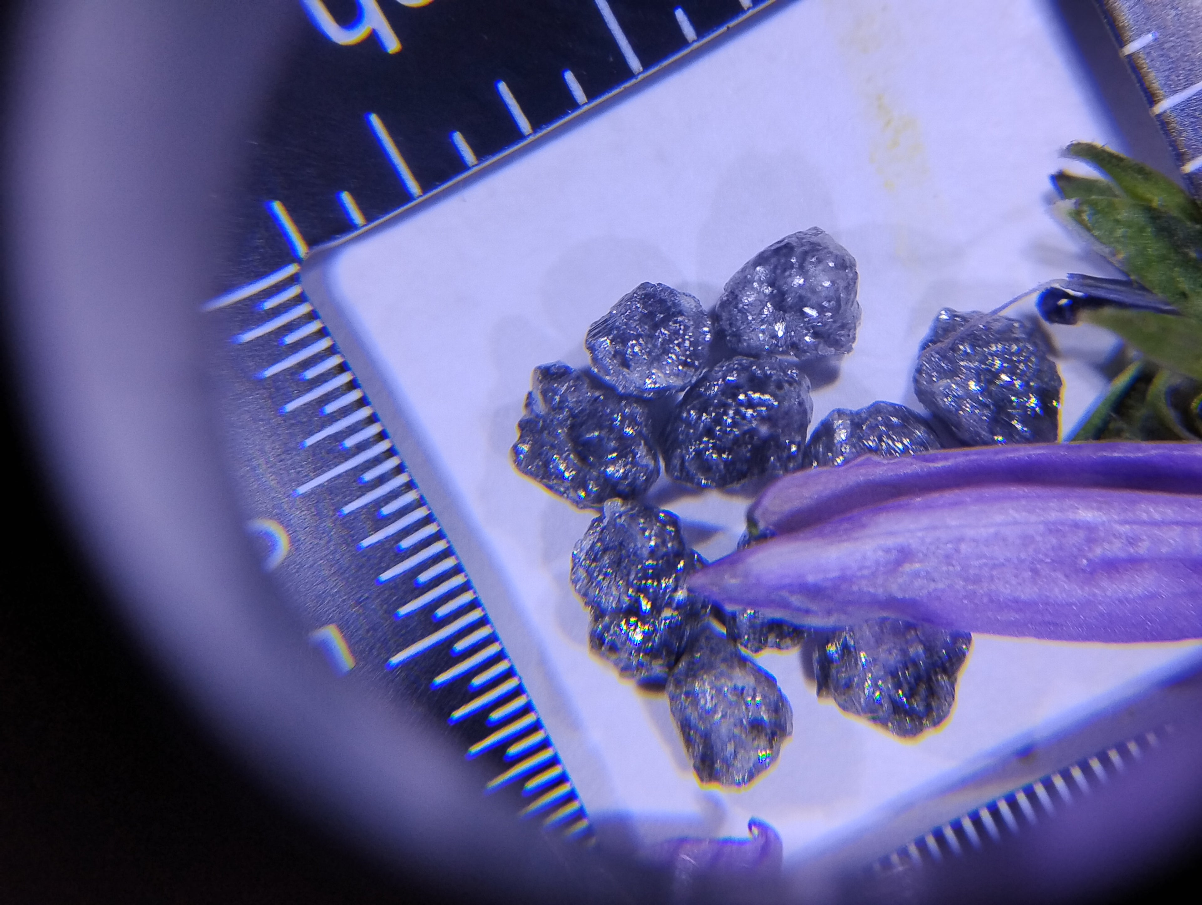 Natural Rough Blue Diamonds – 2 ct (Two Carats)