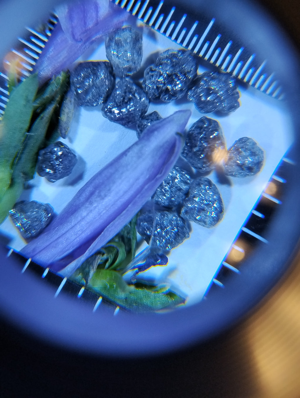 Natural Rough Blue Diamonds – 3 ct (Three Carats)