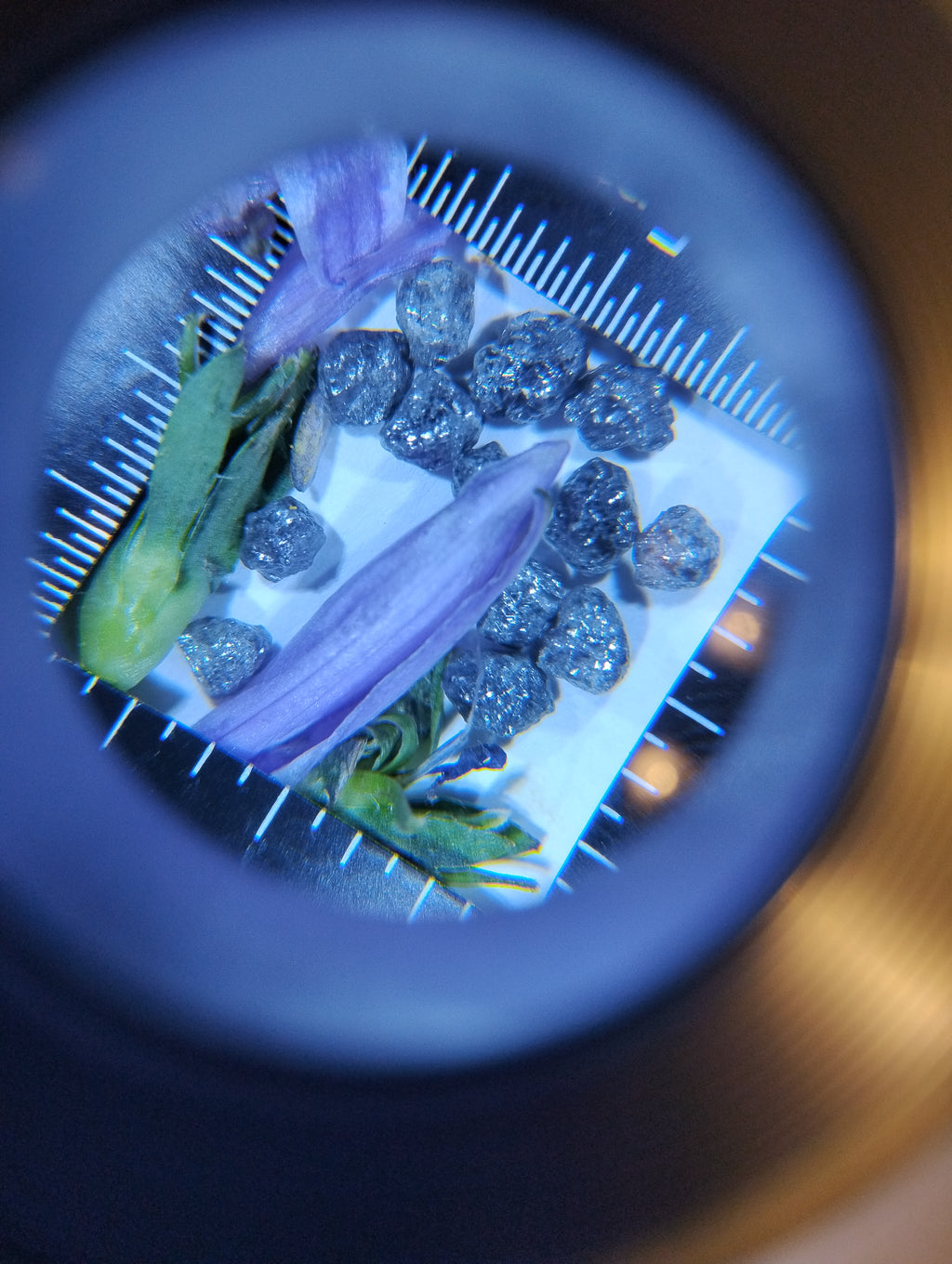 Natural Rough Blue Diamonds – 3 ct (Three Carats)
