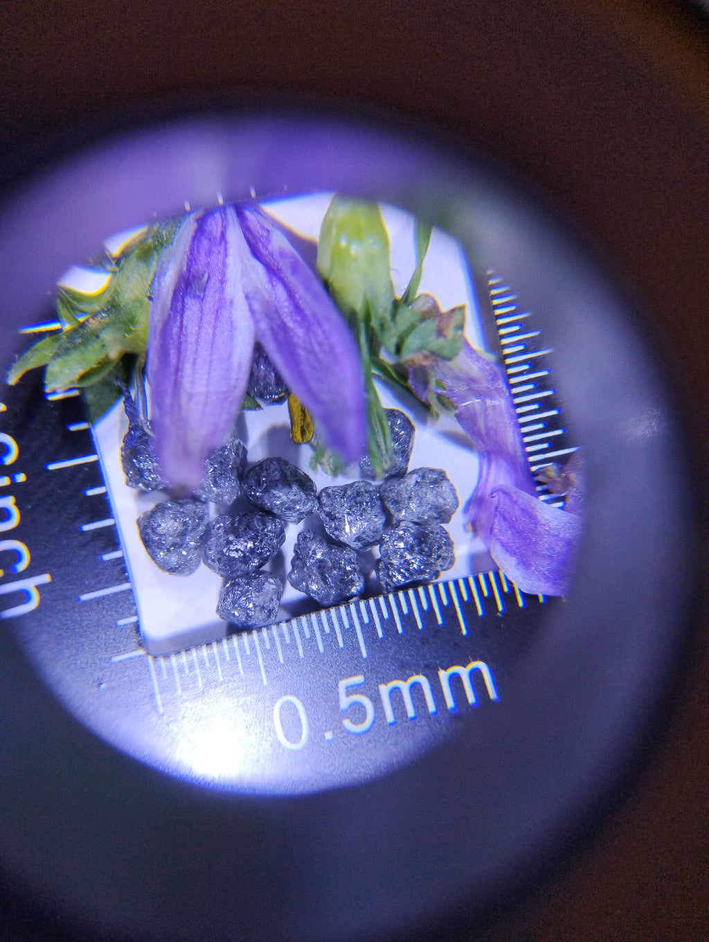 Natural Rough Blue Diamonds – Priced Per Carat (ct)