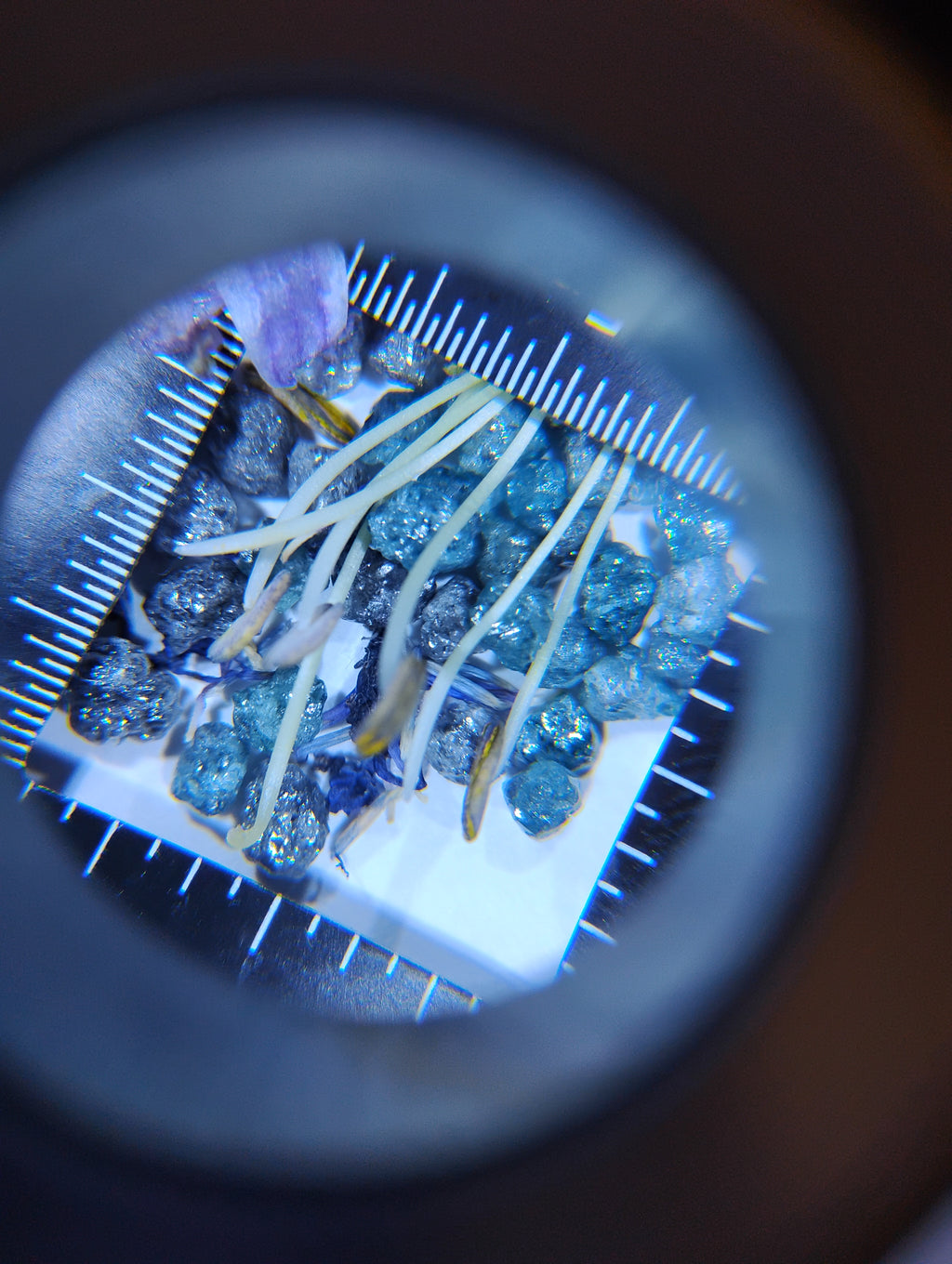 Natural Rough Blue Diamonds – 0.5 ct (Half Carat)