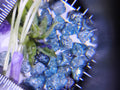 Natural Rough Blue Diamonds – 5 ct (Five Carats)
