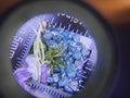 Natural Rough Blue Diamonds – Priced Per Carat (ct)
