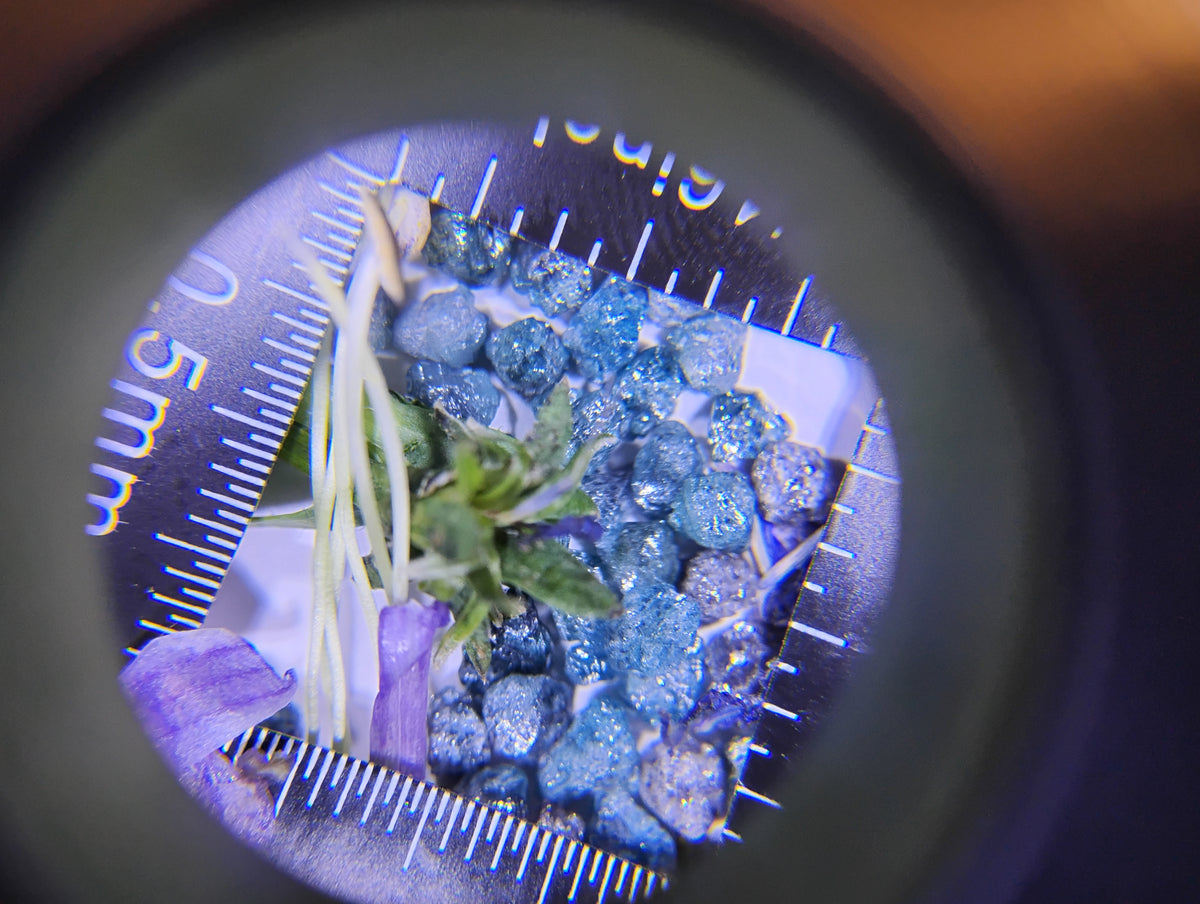 Natural Rough Blue Diamonds – 5 ct (Five Carats)