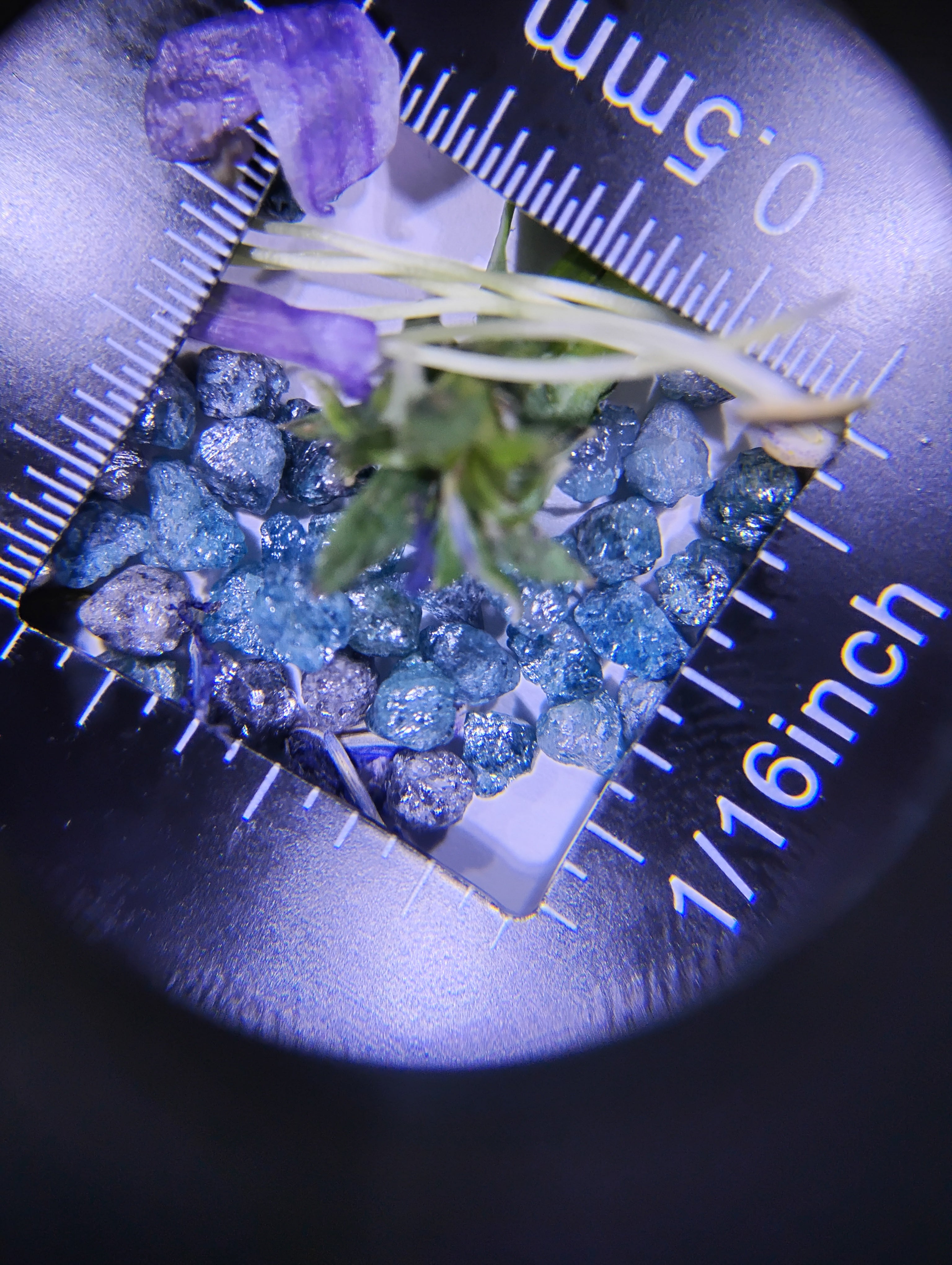 Natural Rough Blue Diamonds – Priced Per Carat (ct)