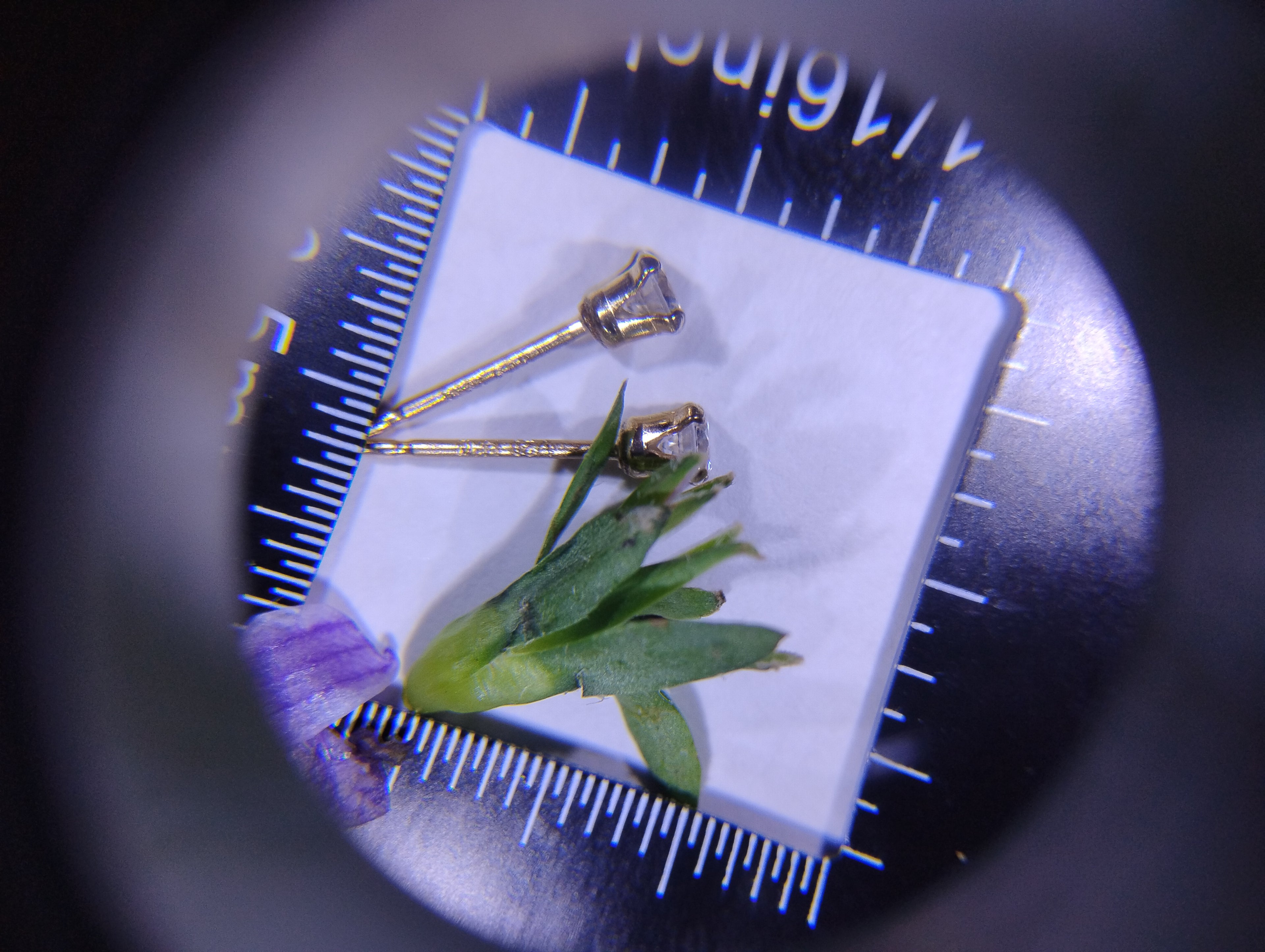 Wholesale 14k Gold Filled Stud Earrings — 3mm Lab Moissanite | 7 Colors | Bulk Pricing