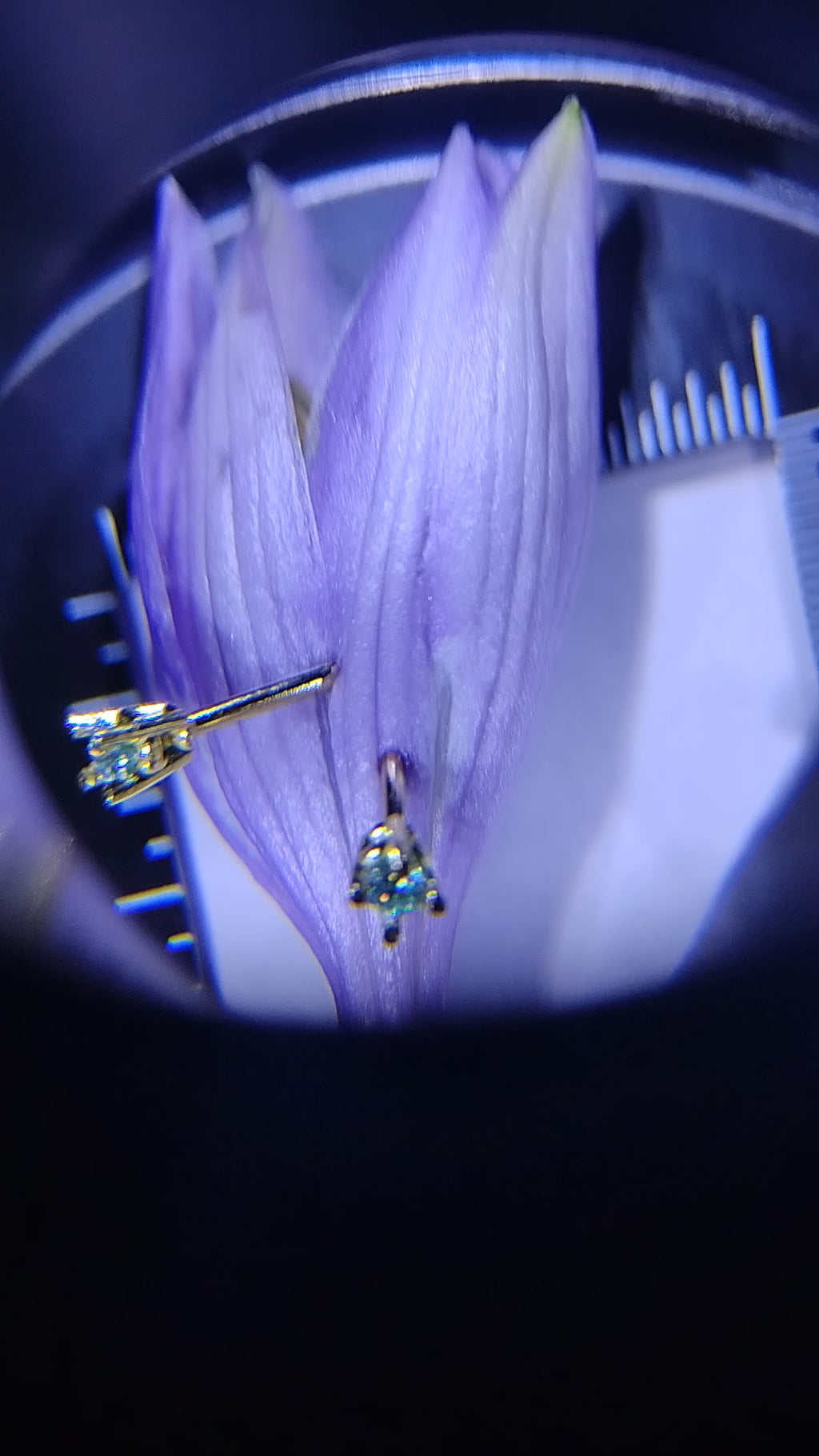 18k Solid Gold Nose Stud Set — 2mm Light Blue Moissanite | Set of 2 + Bonus Diamond