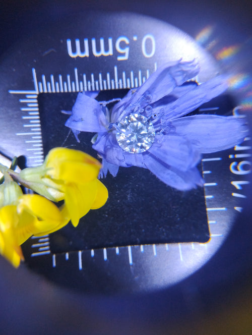 Pair of 0.5 Ct Moissanite floral stud earrings in 14k gold filled, featuring diamond brilliance and collector's bonus from RoughDiamondsByMr.