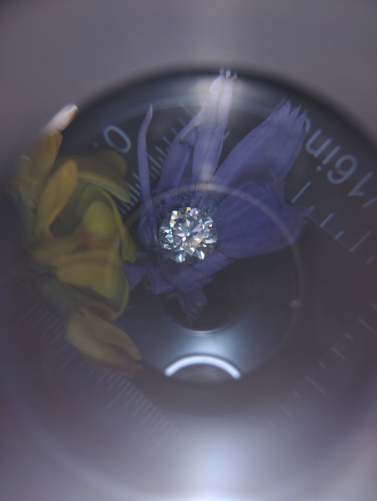 14k gold filled moissanite floral stud earrings with diamond brilliance, .5 ct each, full 1 ct set, from RoughDiamondsByMr.